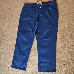 Crown & Ivy Men's Navy Pants